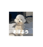 かうちゃん 第2弾（個別スタンプ：14）