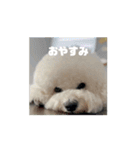 かうちゃん 第2弾（個別スタンプ：15）