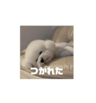 かうちゃん 第2弾（個別スタンプ：16）