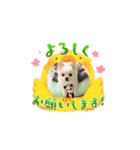 MilkyWorld4（個別スタンプ：1）