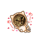 MilkyWorld4（個別スタンプ：5）