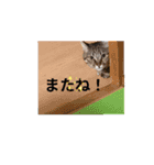 MilkyWorld4（個別スタンプ：7）