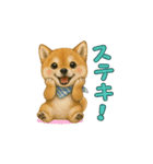 柴犬さんの感情を伝えるスタンプ（個別スタンプ：3）