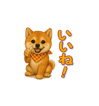 柴犬さんの感情を伝えるスタンプ（個別スタンプ：4）