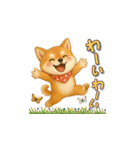 柴犬さんの感情を伝えるスタンプ（個別スタンプ：5）