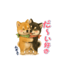 柴犬さんの感情を伝えるスタンプ（個別スタンプ：8）
