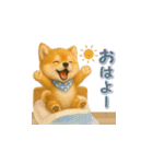 柴犬さんの感情を伝えるスタンプ（個別スタンプ：9）