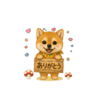 柴犬さんの感情を伝えるスタンプ（個別スタンプ：11）