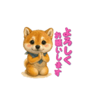 柴犬さんの感情を伝えるスタンプ（個別スタンプ：13）