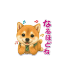 柴犬さんの感情を伝えるスタンプ（個別スタンプ：16）