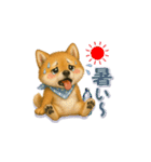 柴犬さんの感情を伝えるスタンプ（個別スタンプ：17）