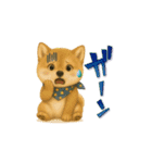 柴犬さんの感情を伝えるスタンプ（個別スタンプ：20）