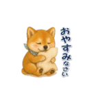 柴犬さんの感情を伝えるスタンプ（個別スタンプ：23）