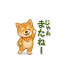 柴犬さんの感情を伝えるスタンプ（個別スタンプ：24）