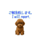 プードル子犬の動画スタンプ（個別スタンプ：3）