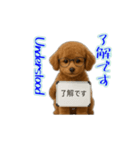 プードル子犬の動画スタンプ（個別スタンプ：4）