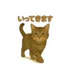 わがやのげんくん①（個別スタンプ：5）
