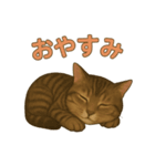 わがやのげんくん①（個別スタンプ：6）