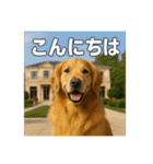 セレブな犬のひとこと。（個別スタンプ：2）