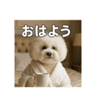 セレブな犬のひとこと。（個別スタンプ：4）