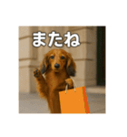 セレブな犬のひとこと。（個別スタンプ：5）