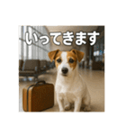 セレブな犬のひとこと。（個別スタンプ：6）