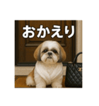 セレブな犬のひとこと。（個別スタンプ：8）