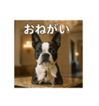 セレブな犬のひとこと。（個別スタンプ：9）