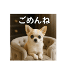 セレブな犬のひとこと。（個別スタンプ：10）