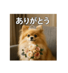 セレブな犬のひとこと。（個別スタンプ：11）