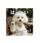 セレブな犬のひとこと。（個別スタンプ：12）