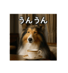 セレブな犬のひとこと。（個別スタンプ：13）