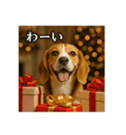 セレブな犬のひとこと。（個別スタンプ：17）