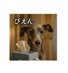 セレブな犬のひとこと。（個別スタンプ：19）
