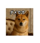 セレブな犬のひとこと。（個別スタンプ：20）