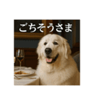 セレブな犬のひとこと。（個別スタンプ：22）