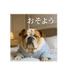 セレブな犬のひとこと。（個別スタンプ：23）