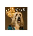 セレブな犬のひとこと。（個別スタンプ：24）