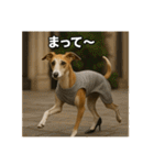 セレブな犬のひとこと。（個別スタンプ：25）