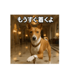 セレブな犬のひとこと。（個別スタンプ：26）