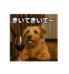 セレブな犬のひとこと。（個別スタンプ：29）