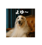 セレブな犬のひとこと。（個別スタンプ：30）
