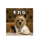 セレブな犬のひとこと。（個別スタンプ：32）