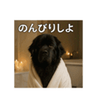 セレブな犬のひとこと。（個別スタンプ：33）