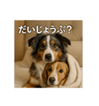 セレブな犬のひとこと。（個別スタンプ：35）