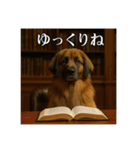 セレブな犬のひとこと。（個別スタンプ：37）