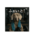 セレブな犬のひとこと。（個別スタンプ：38）