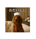 セレブな犬のひとこと。（個別スタンプ：40）