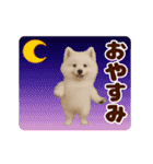 踊る！わんこMAX/犬/いぬ/ドッグ/イヌ（個別スタンプ：3）