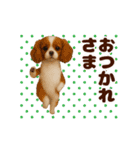 踊る！わんこMAX/犬/いぬ/ドッグ/イヌ（個別スタンプ：5）